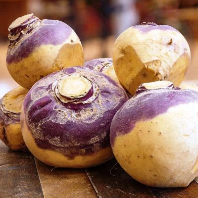 Брюква Верейская (А) (ЦВ)1гр. фото