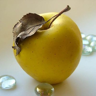 Яблоня Ананас/Осенняя Яблоня Ананас/Осенняя фото