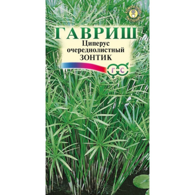 Циперус очереднолистный Зонтик Циперус очереднолистный Зонтик фото