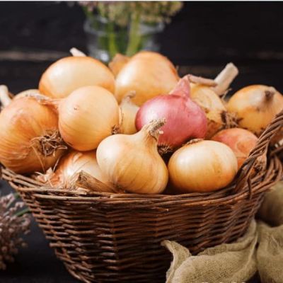 Лук репчатый Стригуновский местный фото