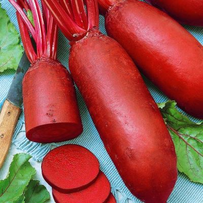 Свекла Сударыня фото