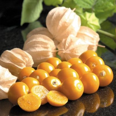 Физалис Мармеладный - Dolina-Sad.Ru