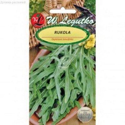 Руккола (Польша) Руккола (Польша) фото