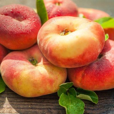 Персик Инжирный Бельмондо Персик Инжирный Бельмондо - Dolina-Sad.Ru