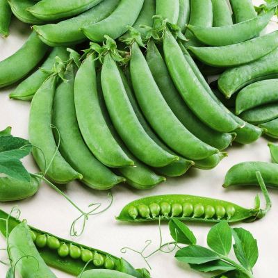 Горох Сахарный фото